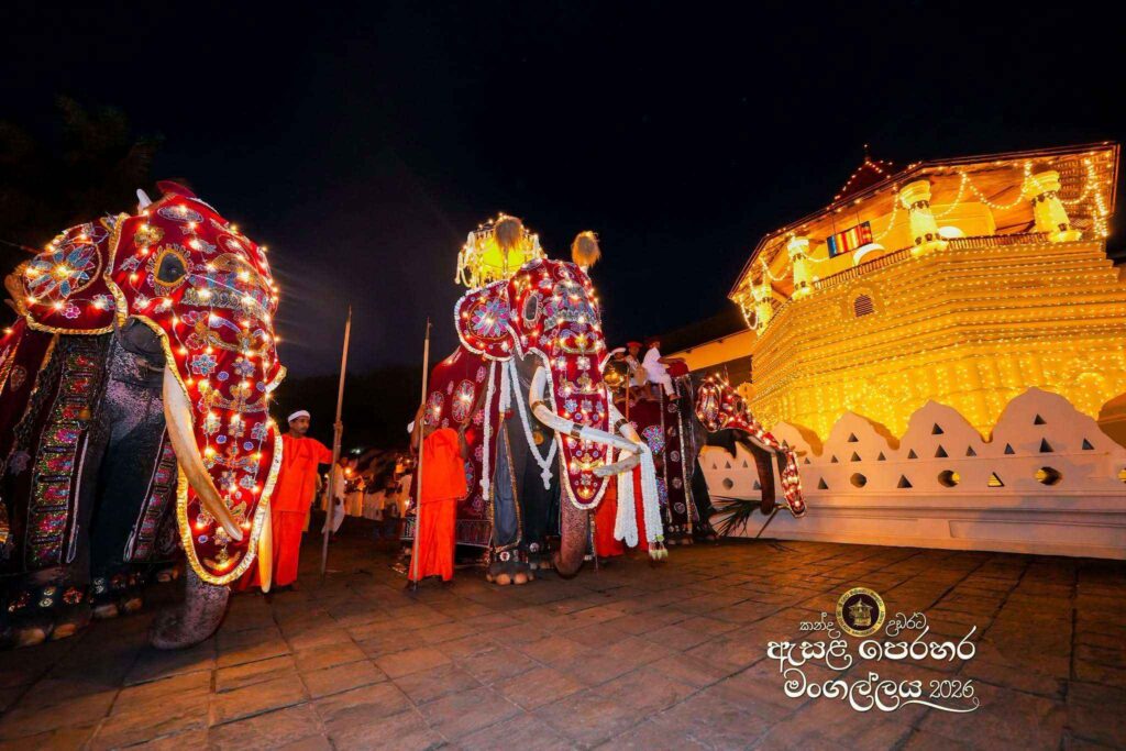ඓතිහාසික මහනුවර ඇසළ පෙරහැර මංගල්‍යයේ අසිරිය - ඡායාරූප විශේෂාංගය