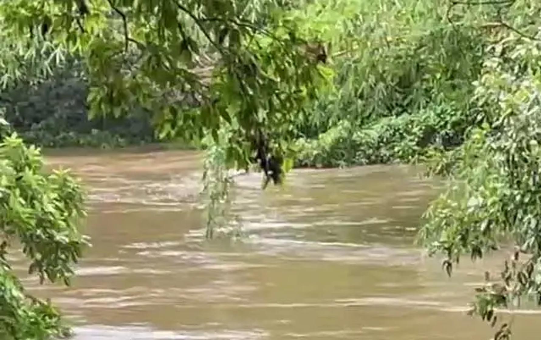 ගංගාවල ජල මට්ටම් ගැන වාරිමාර්ගයෙන් දැනුම්දීමක්