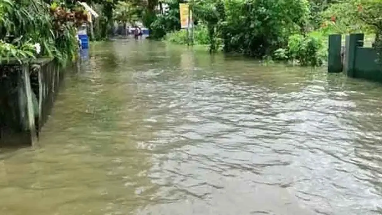 මහවැලි ගඟ අවට පහත් බිම් ප්‍රදේශවලට සුළු ගංවතුර තත්ත්වයක් ගැන අනතුරු ඇඟවීමක්