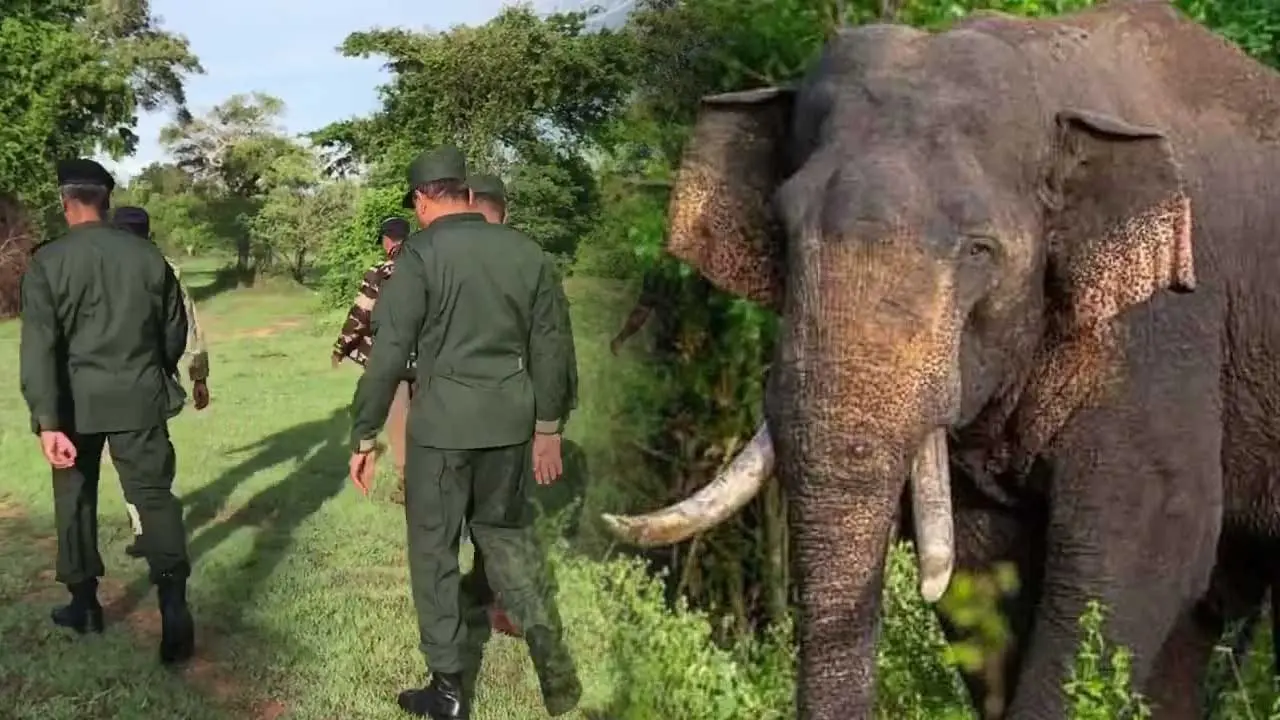 'අග්බෝ' සොයන මෙහෙයුමේ දෙවන දිනය ඇරඹේ